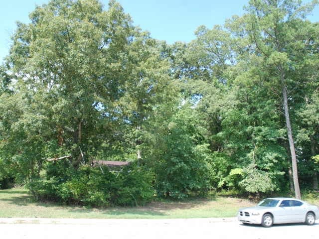 862 Stephenson Rd, Stone Mountain, GA for sale - Primary Photo - Image 1 of 5