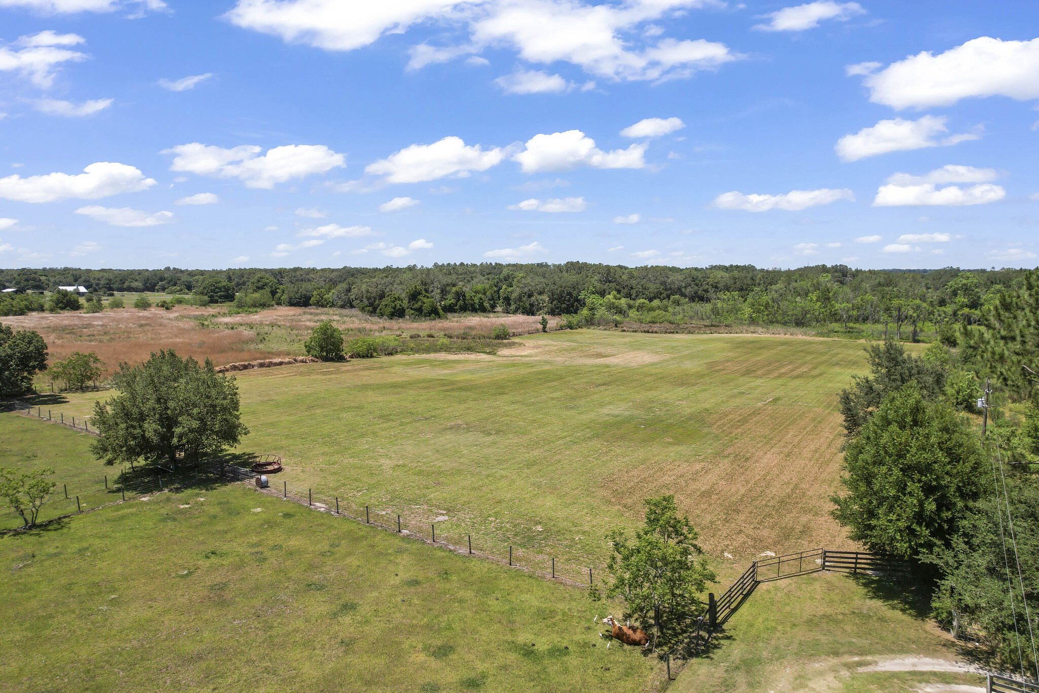 0 State Road 52 Rd, San Antonio, FL for sale Building Photo- Image 1 of 9