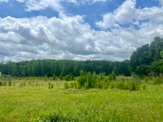 Plus de détails pour Hwy 82 E, Sumner, GA - Terrain à vendre