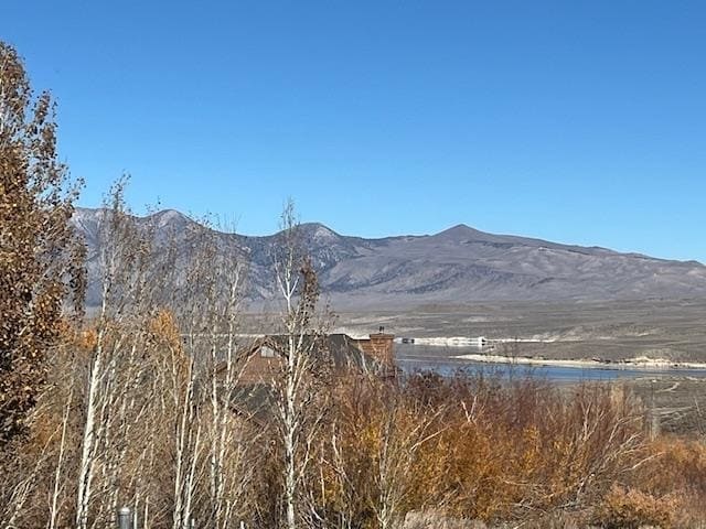 Crowley Lake Dr, Mammoth Lakes, CA for sale - Building Photo - Image 2 of 4