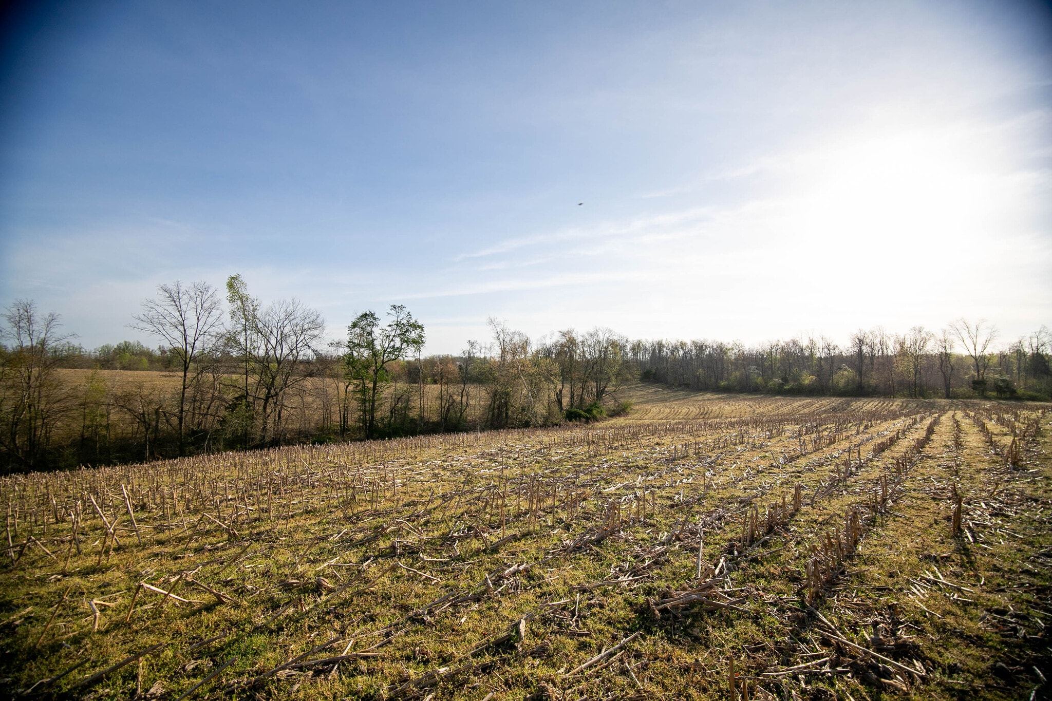 2175 Dobbins Pike, Portland, TN for sale Primary Photo- Image 1 of 15