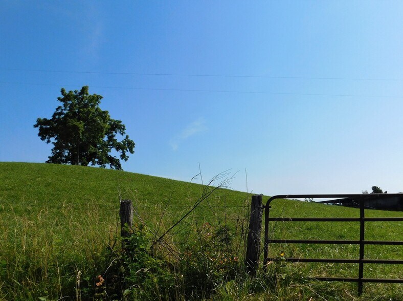 Chapman Rd, LaFollette, TN à vendre - Autre - Image 2 de 8