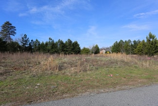 More details for 513 Sawnee Corners Blvd, Cumming, GA - Land for Sale