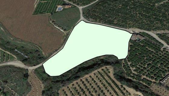 Terrain dans Càrcer, Valencia à vendre - Aérien - Image 3 de 3