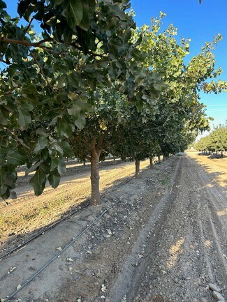 Plus de détails pour 10431 S Bethel Ave, Selma, CA - Terrain à vendre