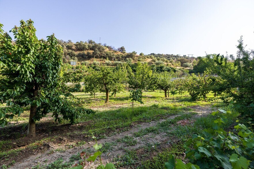 Paseo la Duquesa, S/N, Pinos Genil, Granada for sale - Building Photo - Image 2 of 41