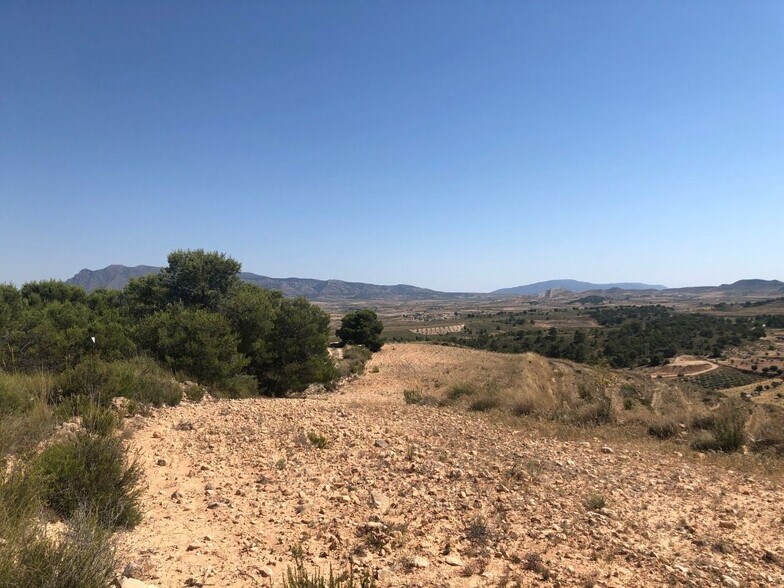 Land in La Zarza, Badajoz for sale - Aerial - Image 3 of 8