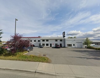 Plus de détails pour 7031 Arctic Blvd, Anchorage, AK - Vente au détail à vendre