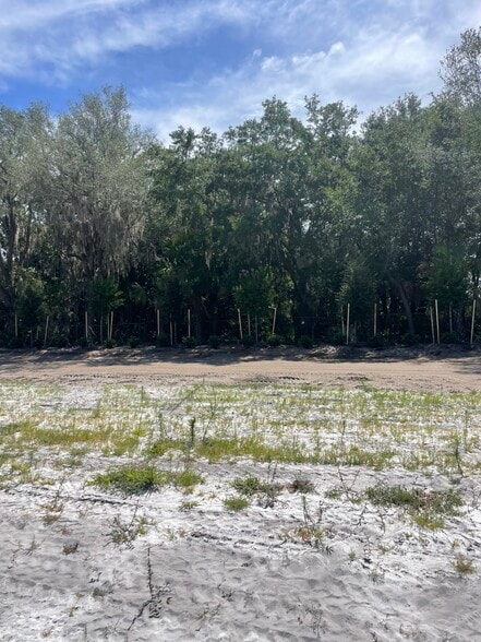 Lake Ferns Road, Umatilla, FL for sale - Construction Photo - Image 2 of 6