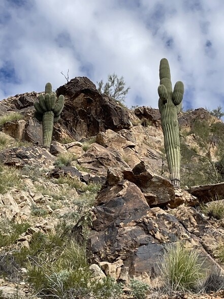 E Glen Drive Road, Paradise Valley, AZ for sale - Other - Image 3 of 11