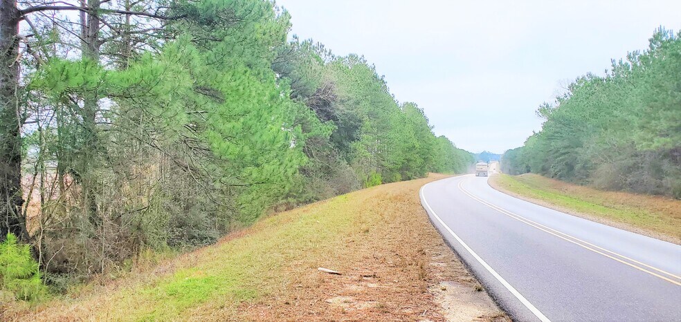 Highway 3226, Deridder, LA à vendre - Photo du bâtiment - Image 2 de 5