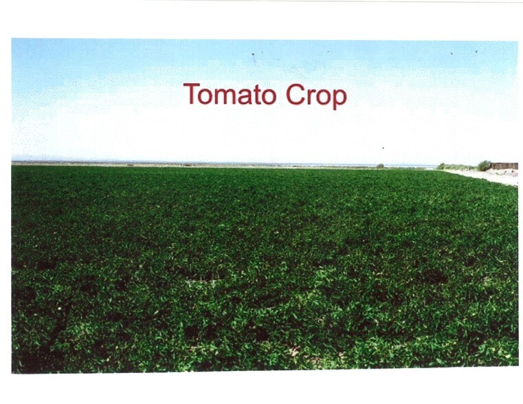 Hwy 111, Niland, CA à vendre - Photo du bâtiment - Image 1 de 9