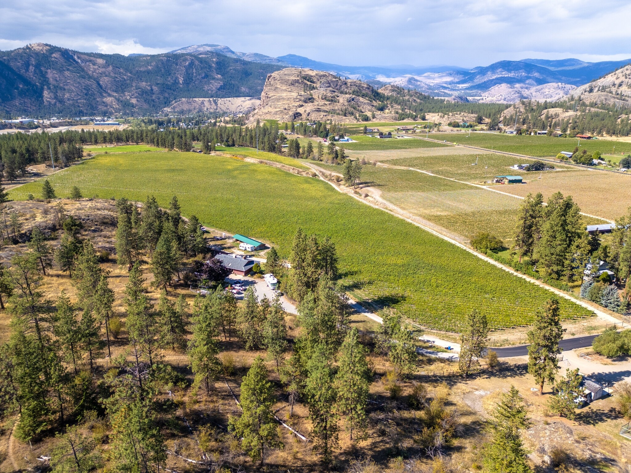 1580 Chapman Rd, Okanagan Falls, BC for sale Primary Photo- Image 1 of 31