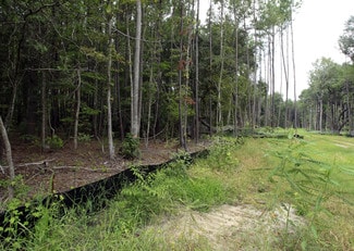 More details for Bees Ferry Rd, Johns Island, SC - Land for Sale