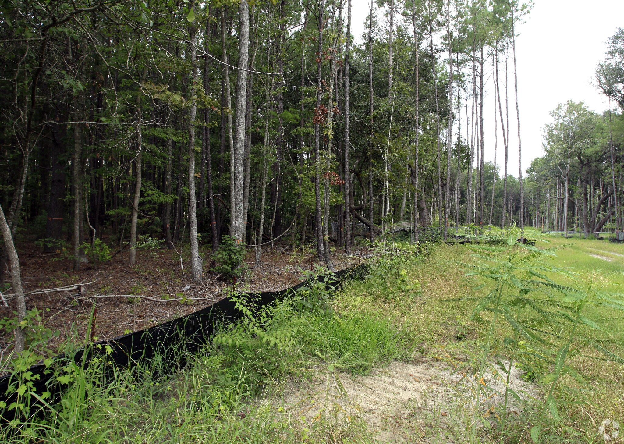 Bees Ferry Rd, Johns Island, SC for sale Primary Photo- Image 1 of 2