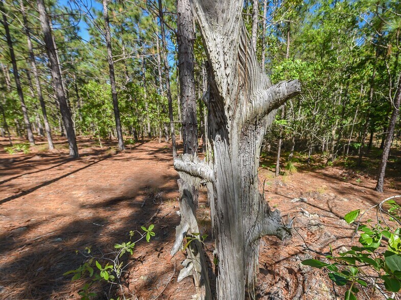 224 Foxfire Rd, Aberdeen, NC à vendre - Photo du bâtiment - Image 2 de 11