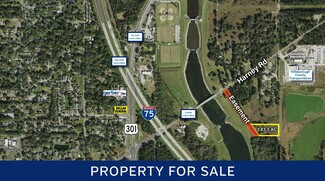 More details for 0 Harney Rd, Thonotosassa, FL - Land for Sale