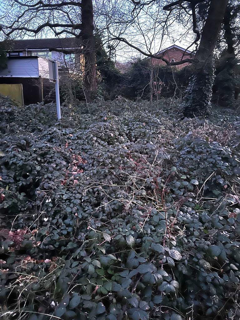 20 Wyatt Rd, Windsor for sale Other- Image 1 of 4