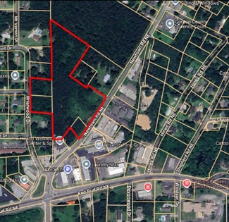 Plus de détails pour Newtown Rd, Calhoun, GA - Terrain à vendre