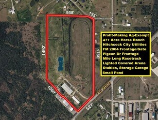 Plus de détails pour 7602 FM 2004 Rd, Hitchcock, TX - Terrain à vendre