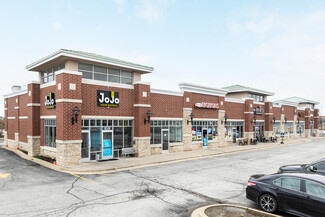 Plus de détails pour 7101 W 183rd St, Tinley Park, IL - Bureau/Commerce de détail à louer