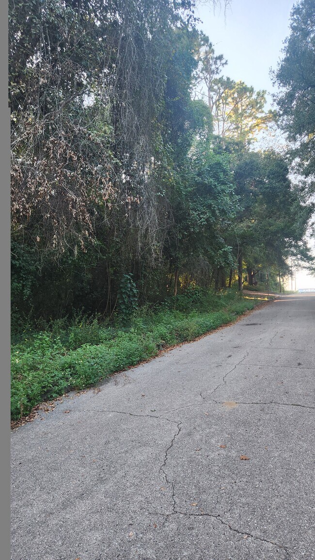 Plus de détails pour 00 Junwin Ct, Tallahassee, FL - Terrain à vendre
