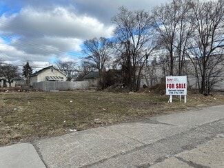 Plus de détails pour 15738 Livernois Ave, Detroit, MI - Terrain à vendre
