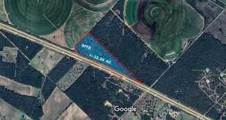 More details for 0 Highway 290, Paige, TX - Land for Sale