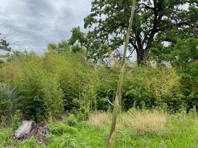 6 Briar Dale Ct, Houston, TX for sale - Building Photo - Image 3 of 9