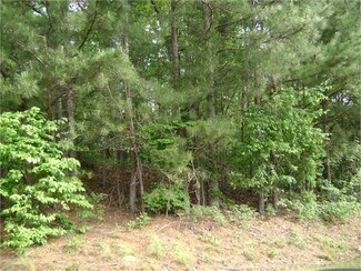 Plus de détails pour Maysville Wheeler Cemetery Rd – Terrain à vendre