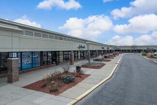 Plus de détails pour 7221-7347 Lemont Rd, Downers Grove, IL - Commerce de détail à louer