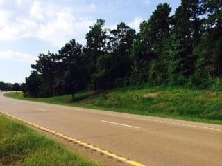 Plus de détails pour Hwy 61, Natchez, MS - Terrain à vendre