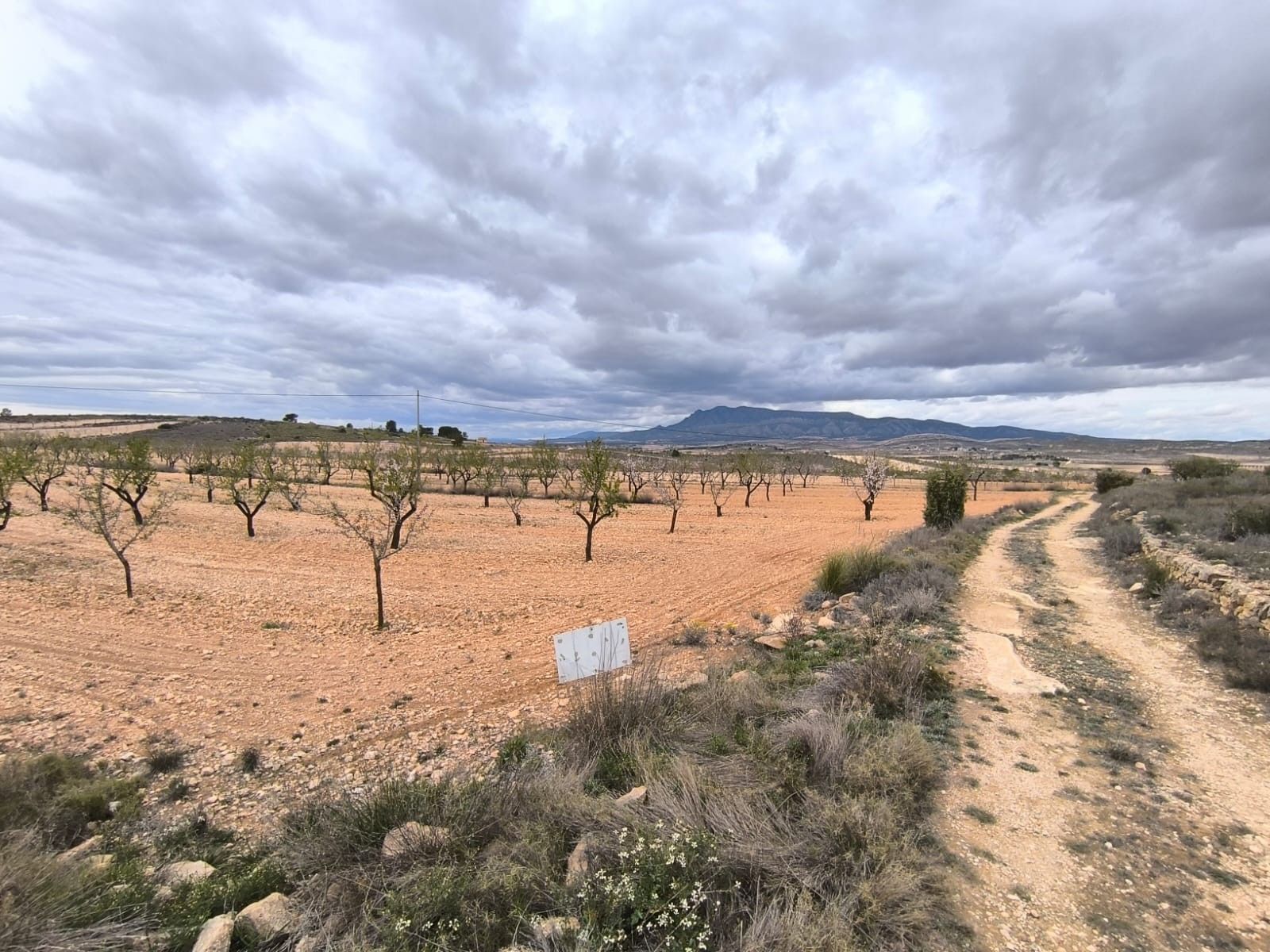 Land in Yecla, Murcia for sale Primary Photo- Image 1 of 4