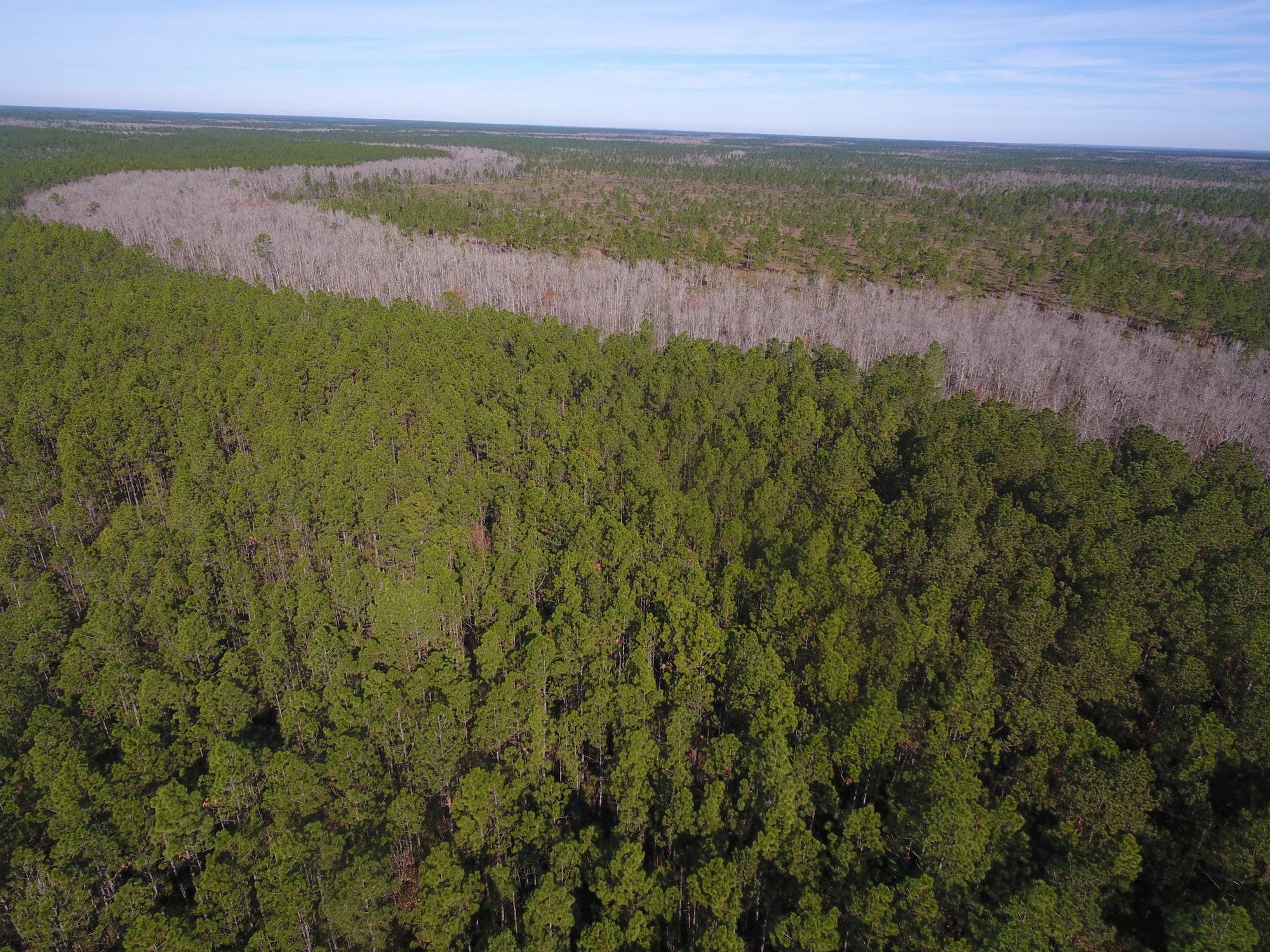 Lee Rd, Abita Springs, LA à vendre Photo du bâtiment- Image 1 de 1