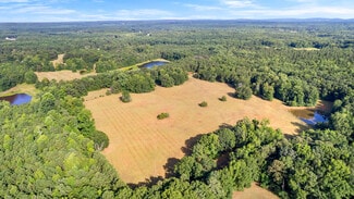 Plus de détails pour 4091 Hollonville Rd, Williamson, GA - Terrain à vendre
