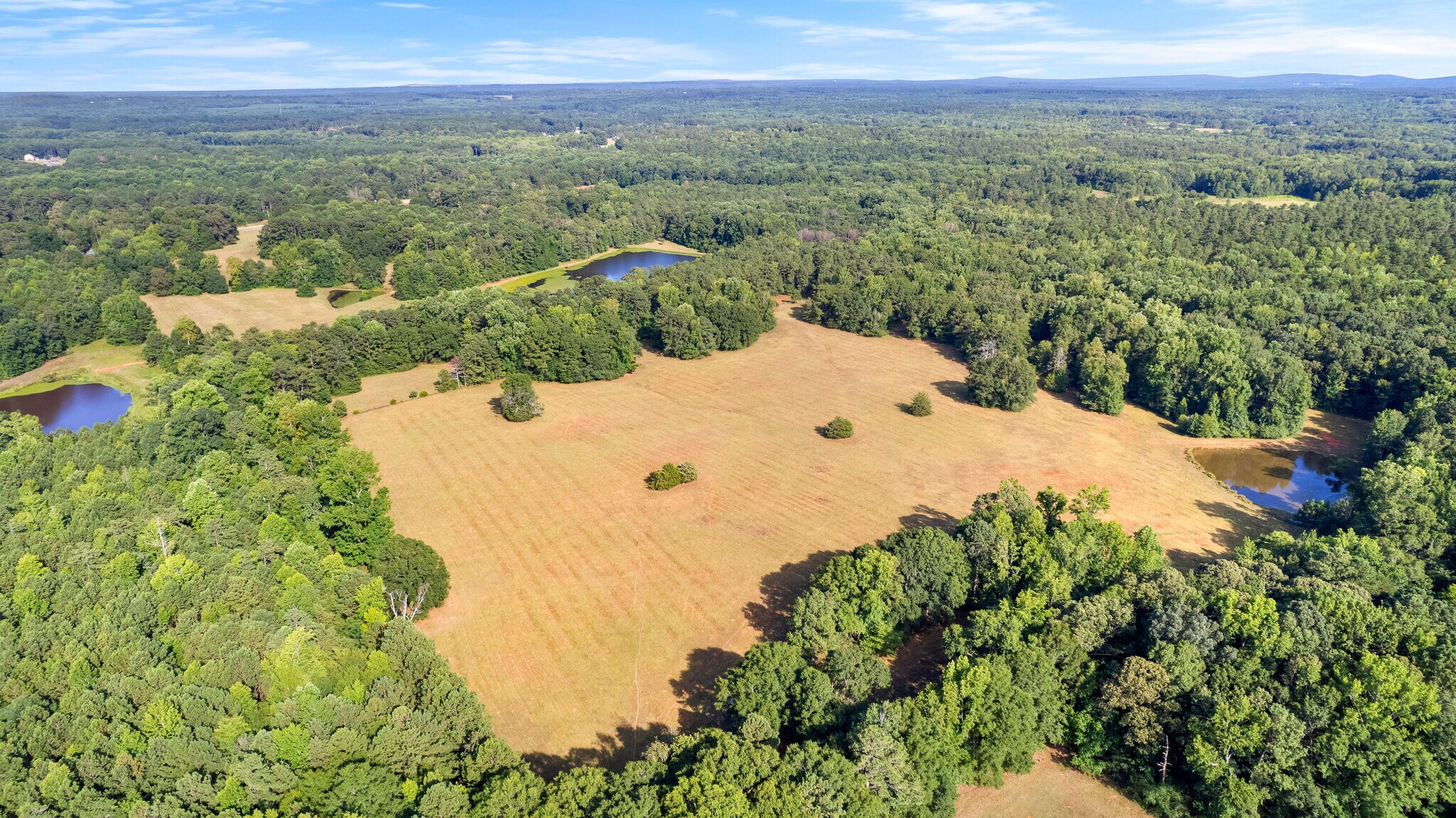 4091 Hollonville Rd, Williamson, GA à vendre Photo principale- Image 1 de 66