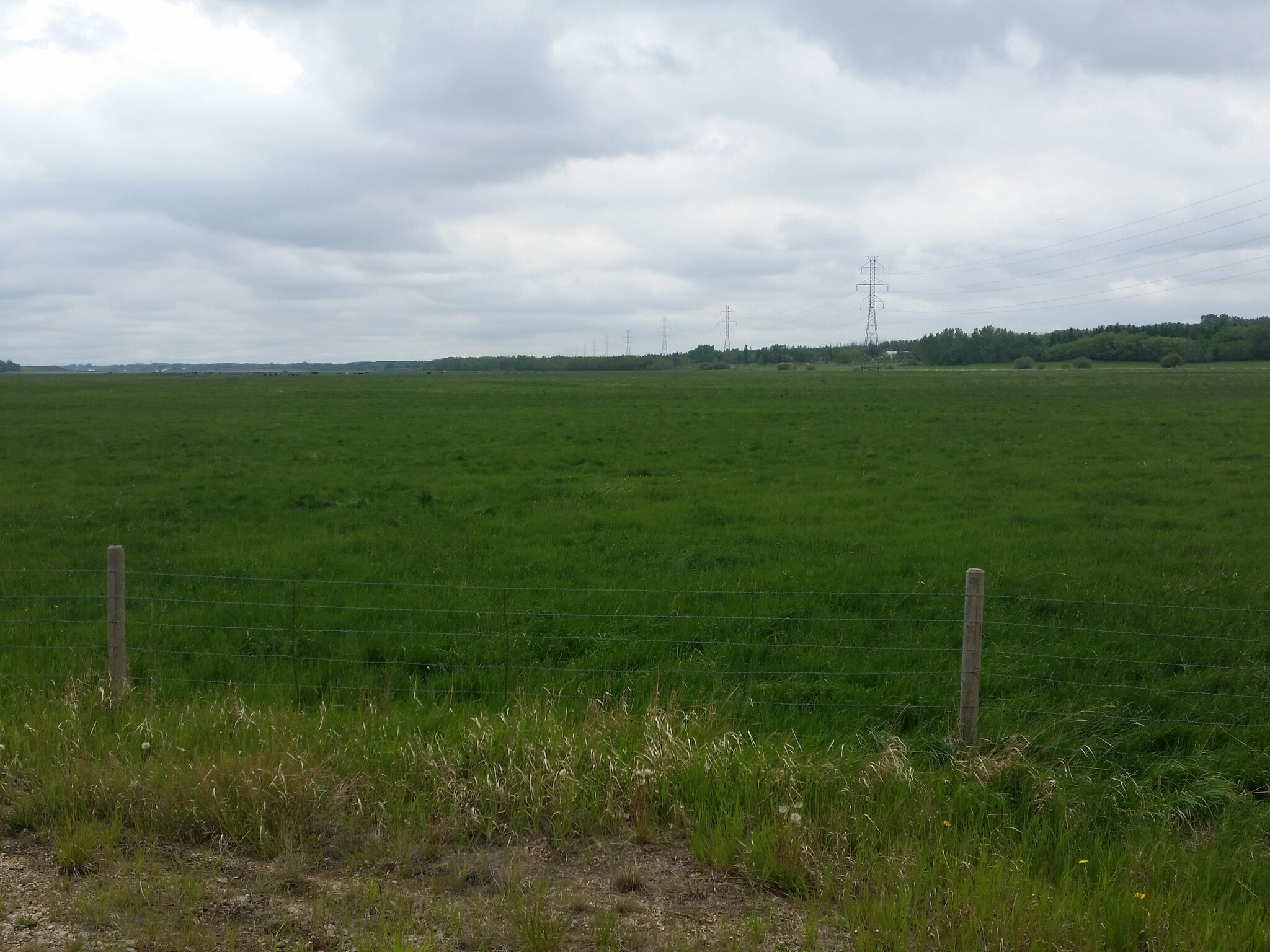 24532 TWP 502, Nisku, AB for sale Building Photo- Image 1 of 1