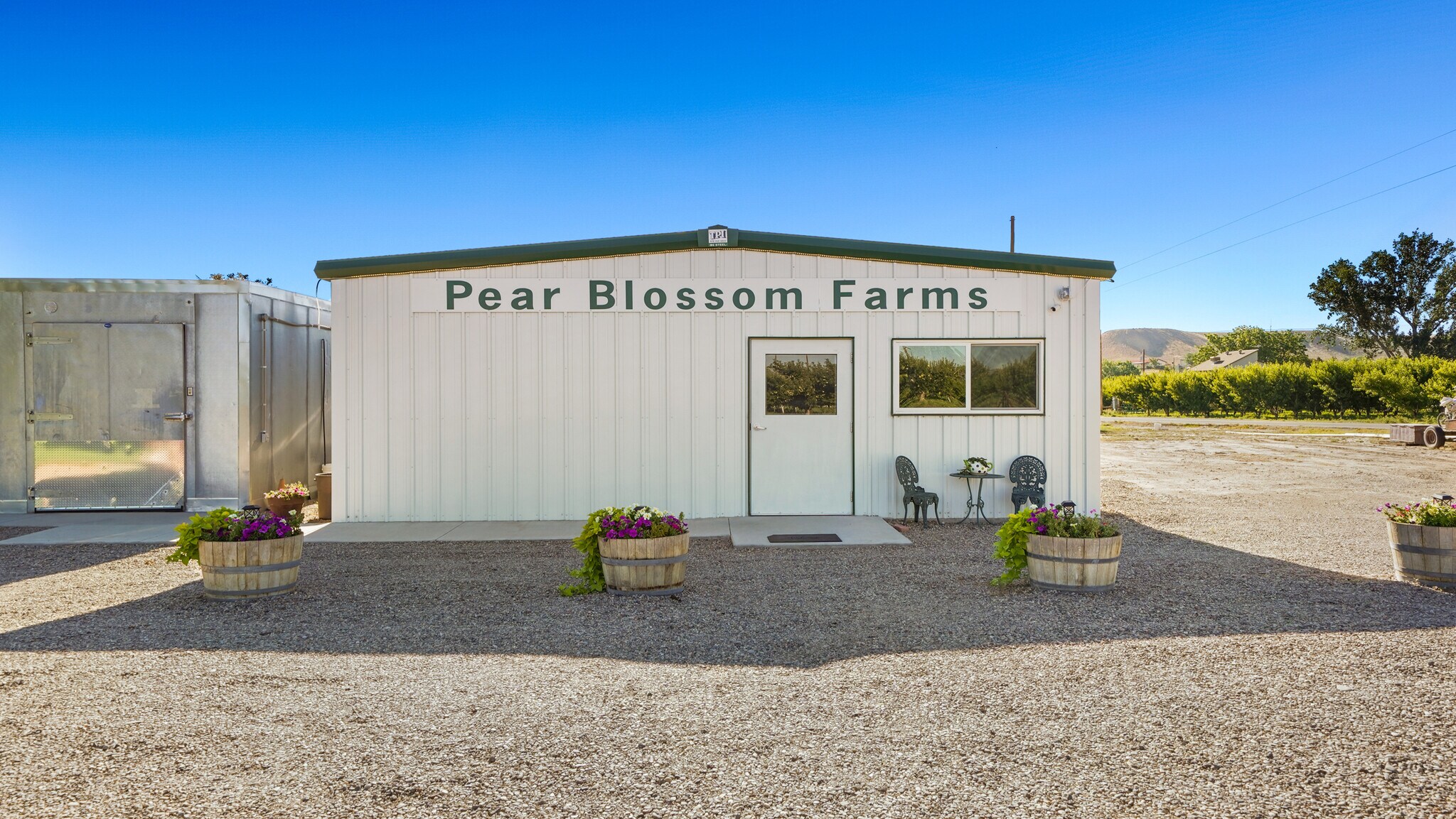 3376 C Rd, Palisade, CO à vendre Photo principale- Image 1 de 33