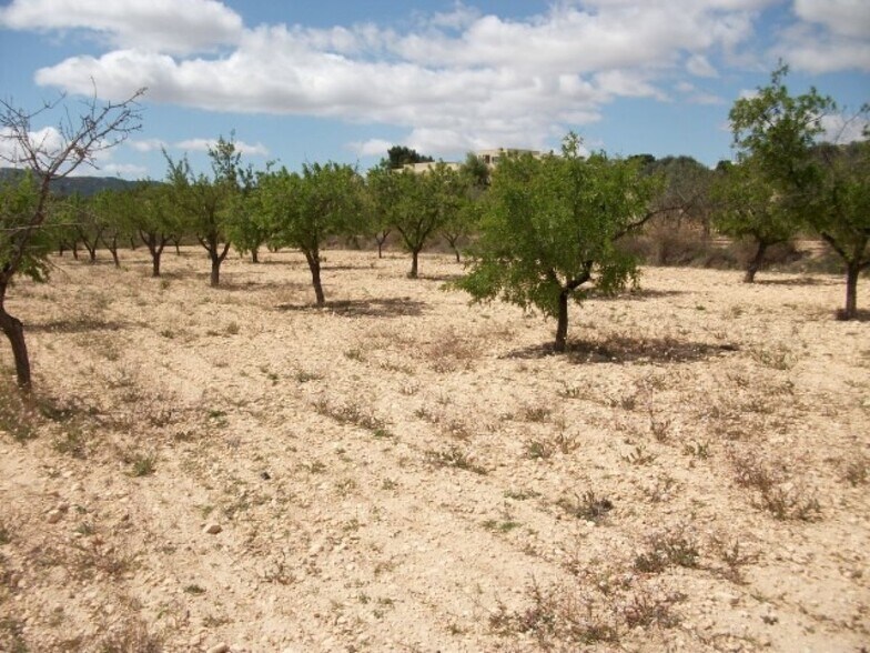 Land in MONÒVER, Alicante for sale - Building Photo - Image 2 of 3