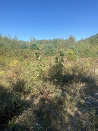 Plus de détails pour 126 State St, Palmer, MA - Terrain à vendre