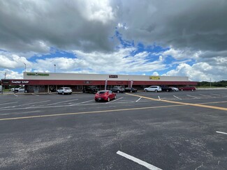 Plus de détails pour 15 Thriftway Plz, Ruskin, FL - Vente au détail à louer