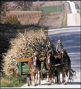 525 Main Ave N, Harmony, MN à vendre - Autre - Image 1 de 11