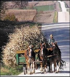 525 Main Ave N, Harmony, MN for sale - Other - Image 1 of 11