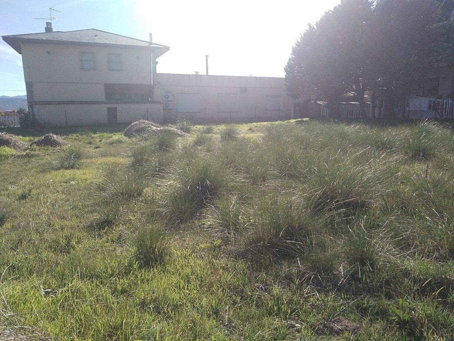 Land in Moralzarzal, Madrid for sale Primary Photo- Image 1 of 3