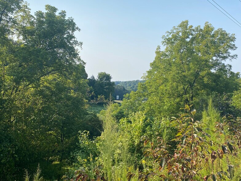 US 76 & Forge Mill Rd, Morganton, GA à vendre - Photo du bâtiment - Image 3 de 11