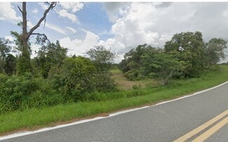 Plus de détails pour 1600 Aldo rd, Babson Park, FL - Terrain à vendre