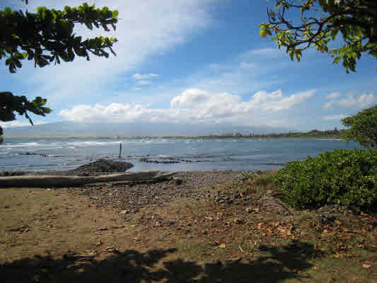 104 Lower Waiehu Beach Rd, Wailuku, HI à vendre - Photo principale - Image 1 de 4