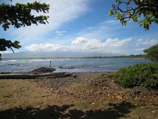 Plus de détails pour 104 Lower Waiehu Beach Rd, Wailuku, HI - Terrain à vendre