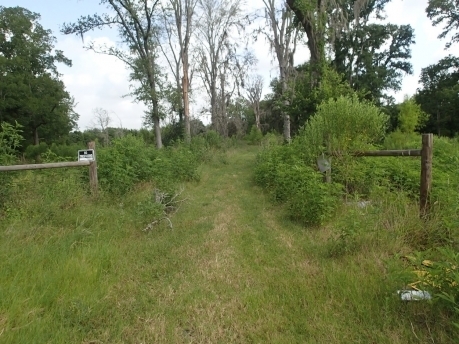 Pecan Hill Dr, Brookshire, TX à vendre - Photo principale - Image 1 de 1