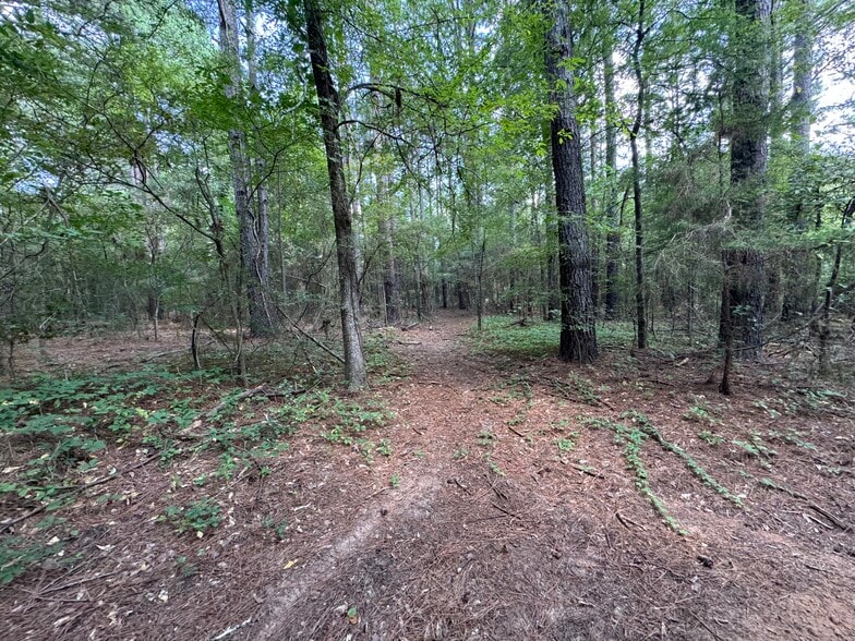 000 Meadow View Ln, Flint, TX for sale - Building Photo - Image 3 of 44